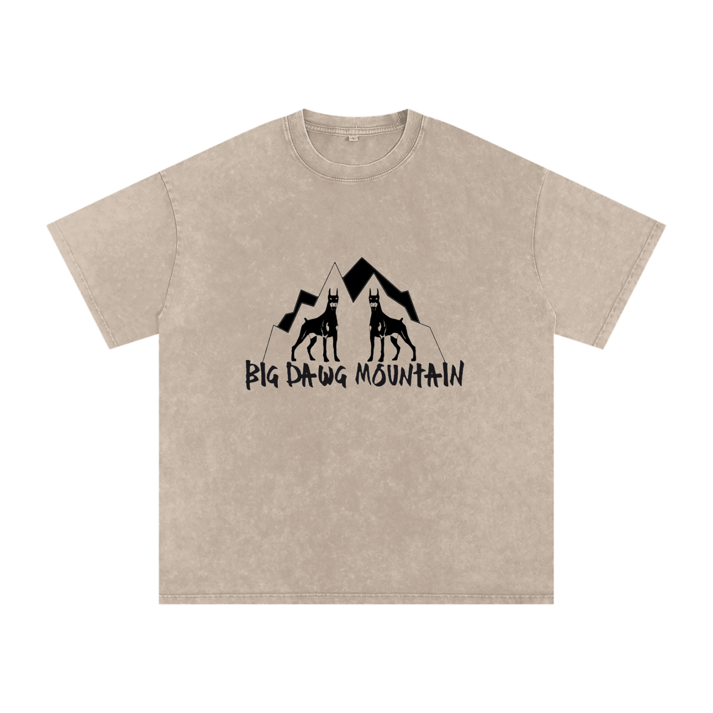 Snow Washed Oversized Cotton T-Shirt