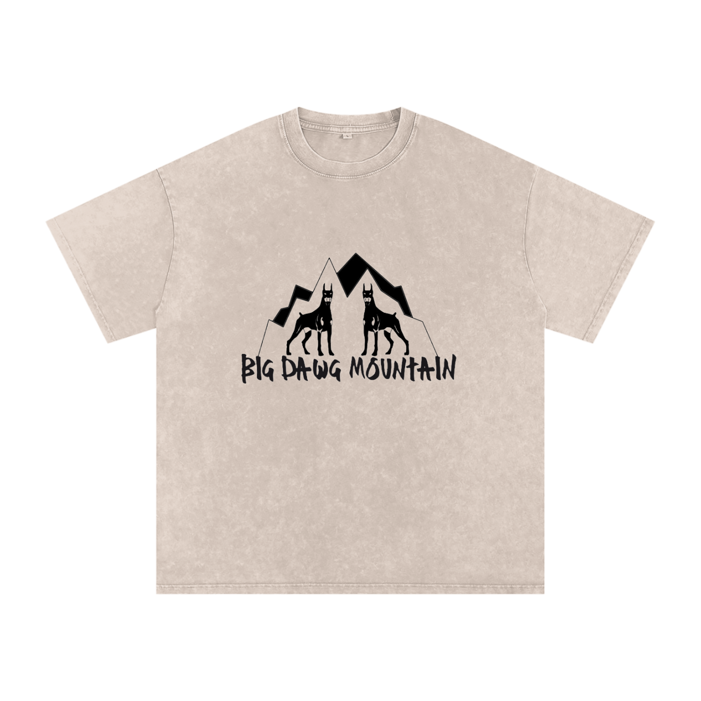 Snow Washed Oversized Cotton T-Shirt