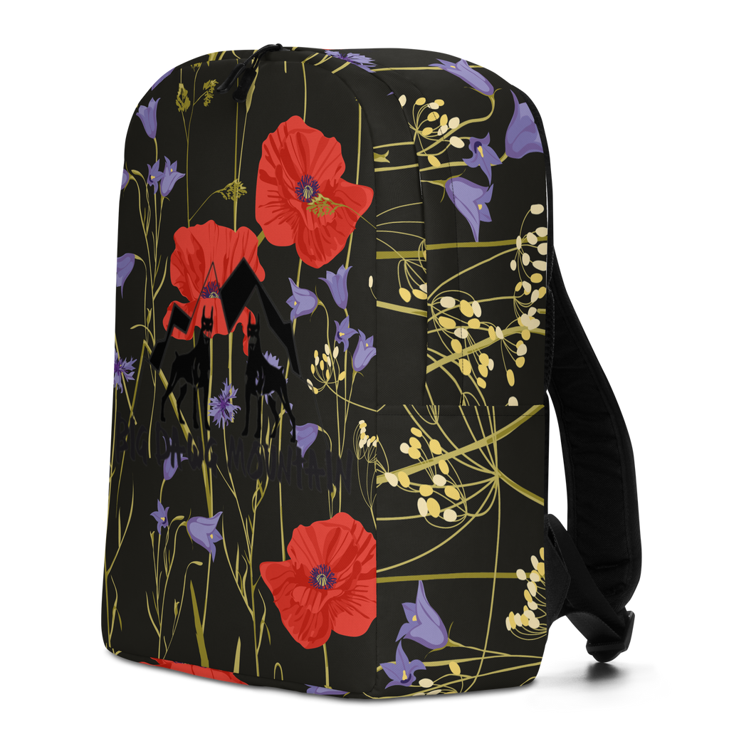 Big Dawg Mountain backpack