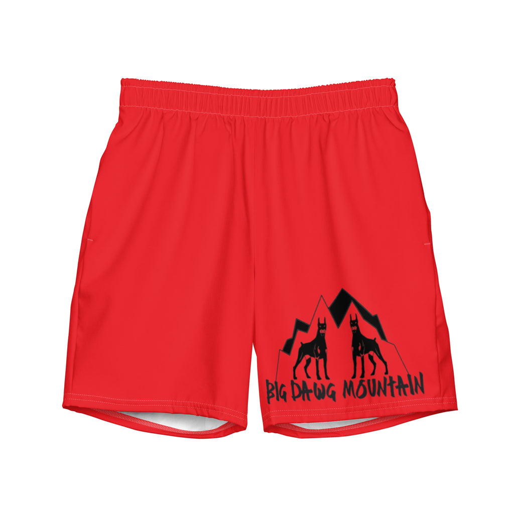 Men's swim trunks
