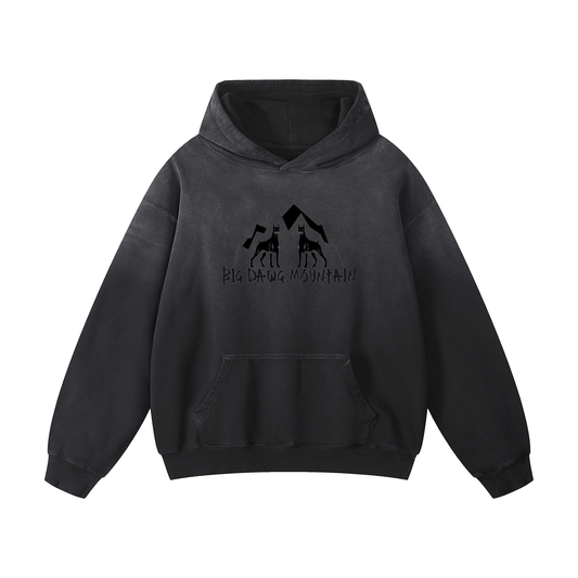 BDM Heavyweight Sunfade Oversized Hoodie