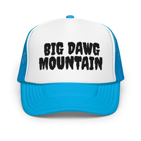 BDM trucker hat