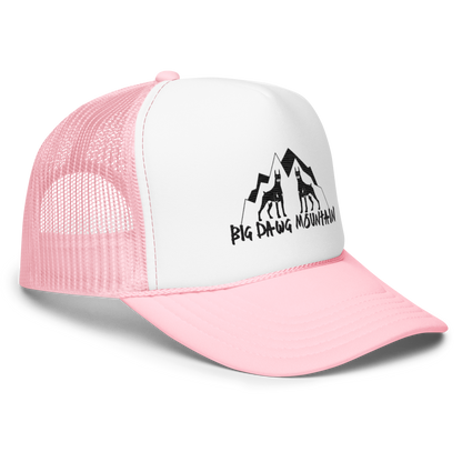 BDM trucker hat