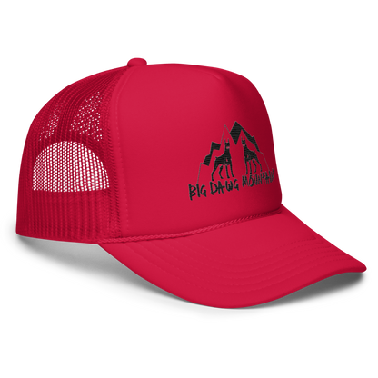 BDM trucker hat