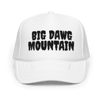 BDM trucker hat