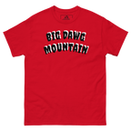 Big Dawg Mountain tee’s