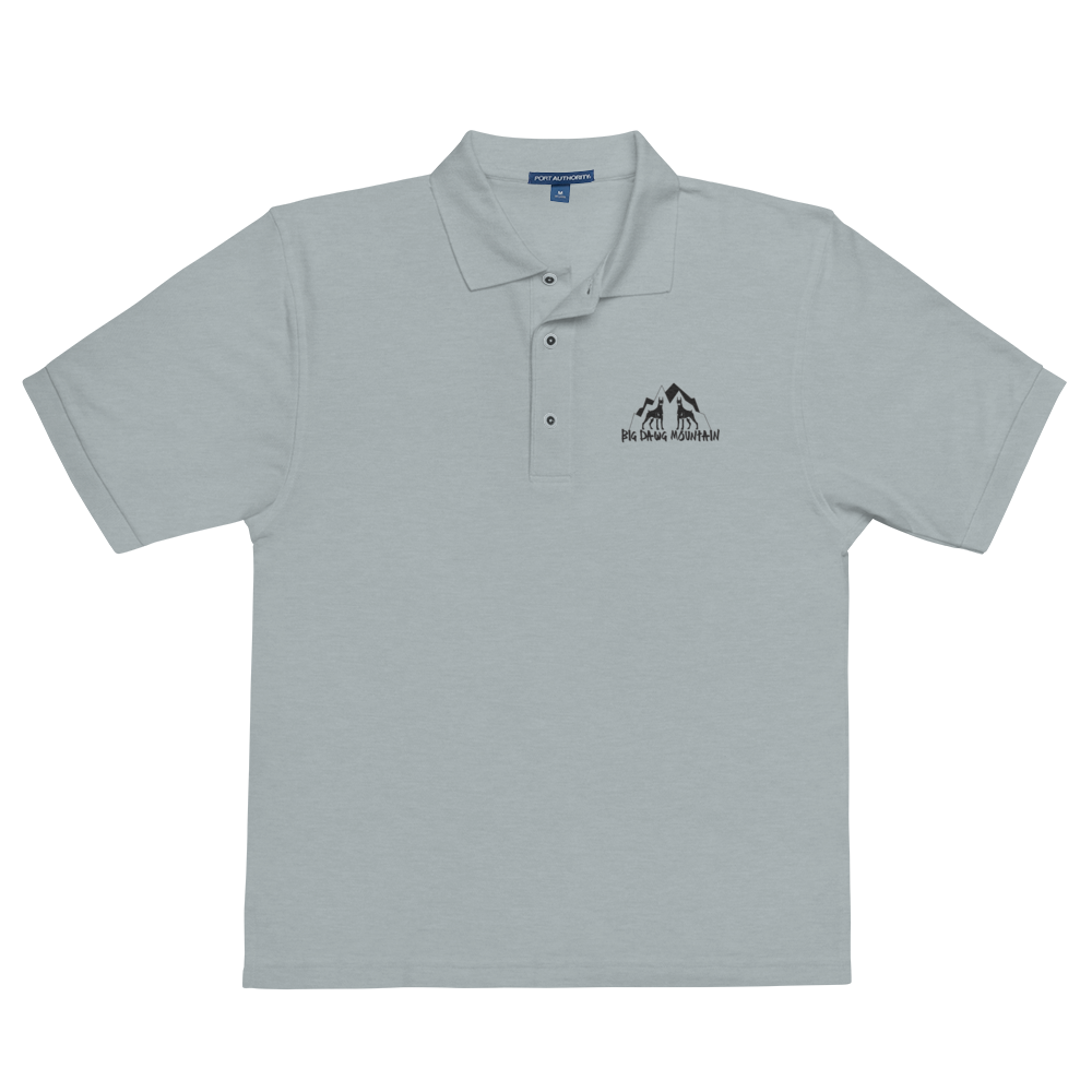 BDM Polo's