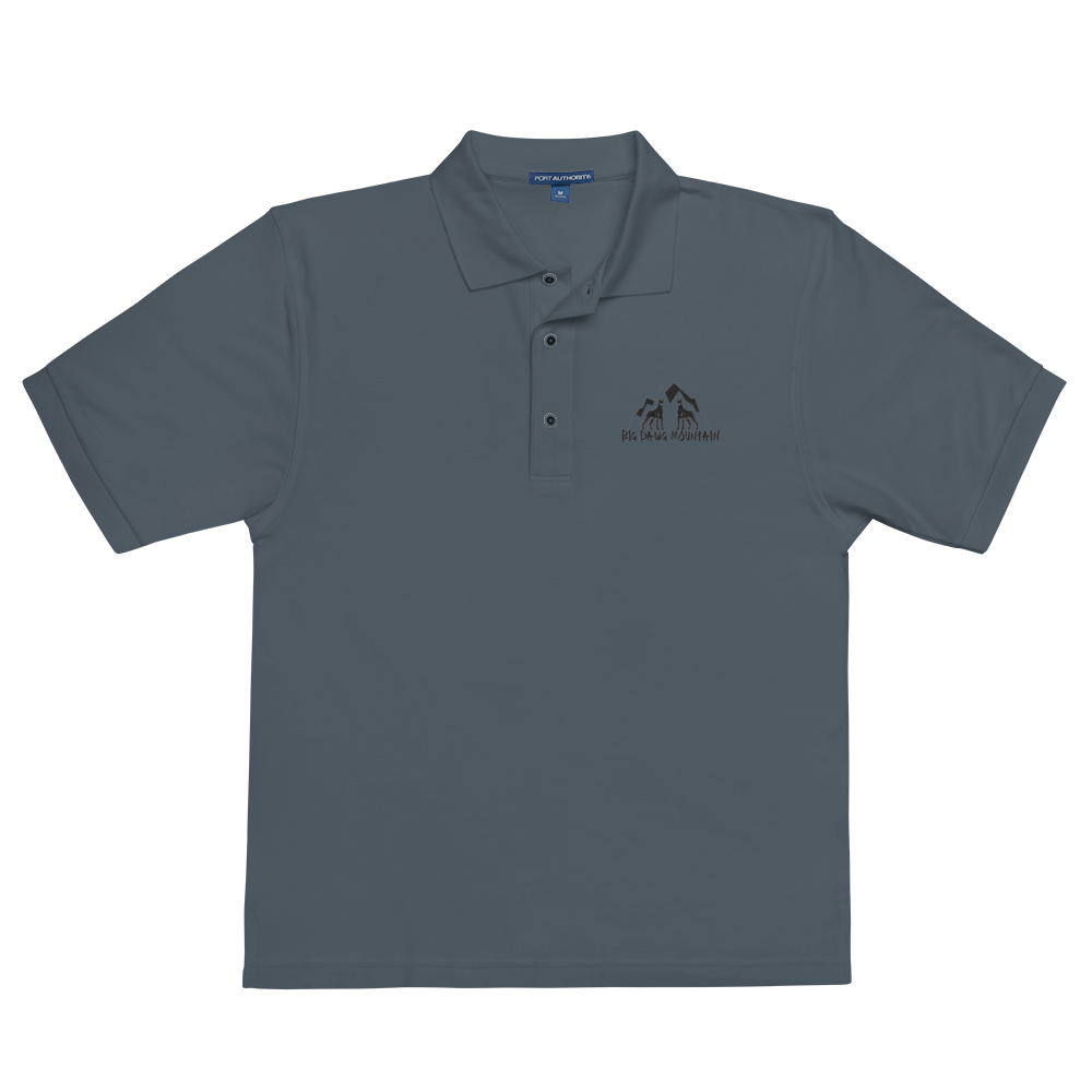BDM Polo's