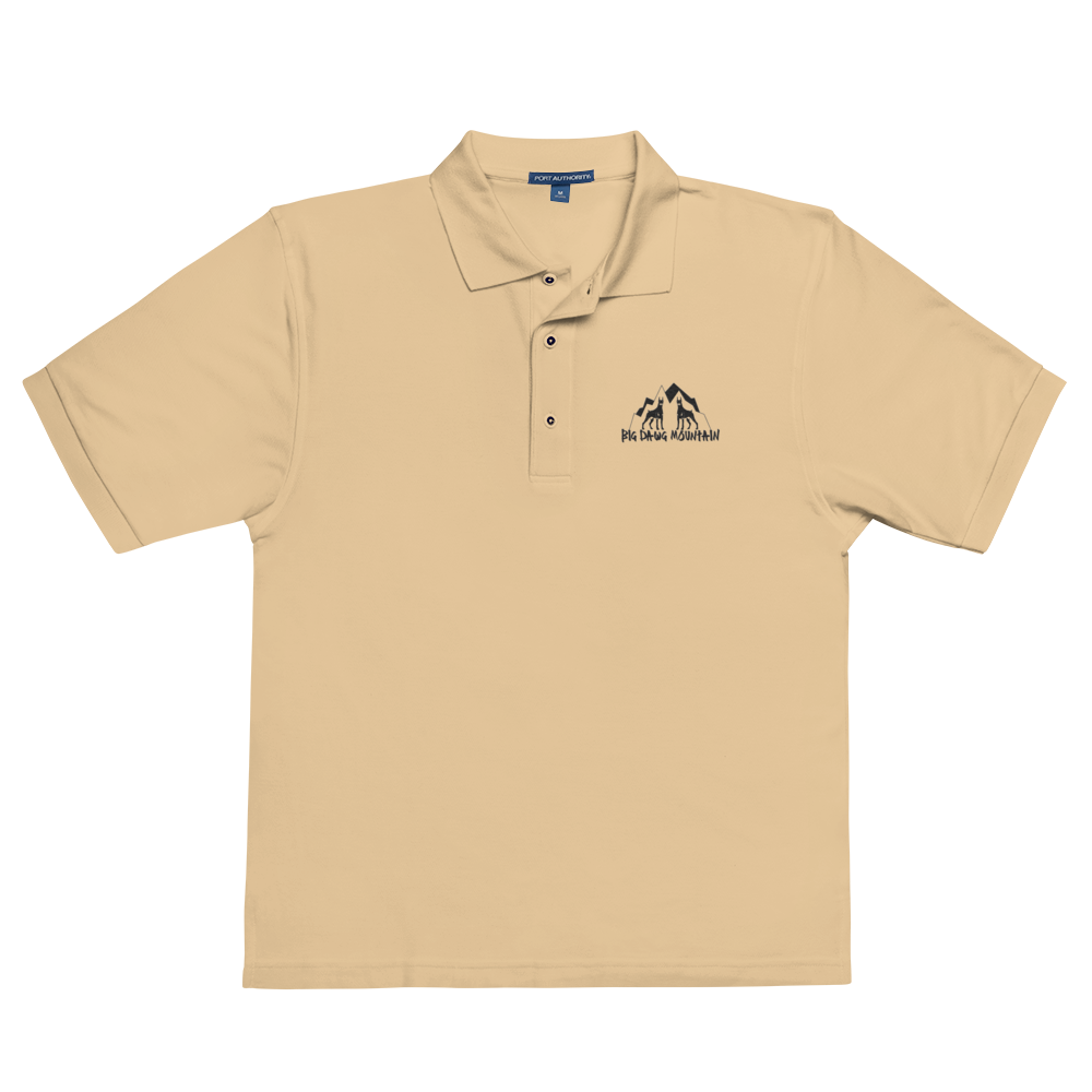 BDM Polo's