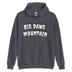 Big Dawg Mountain Hoodies